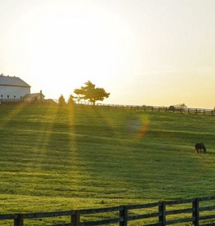 Skatteetaten Dalarna